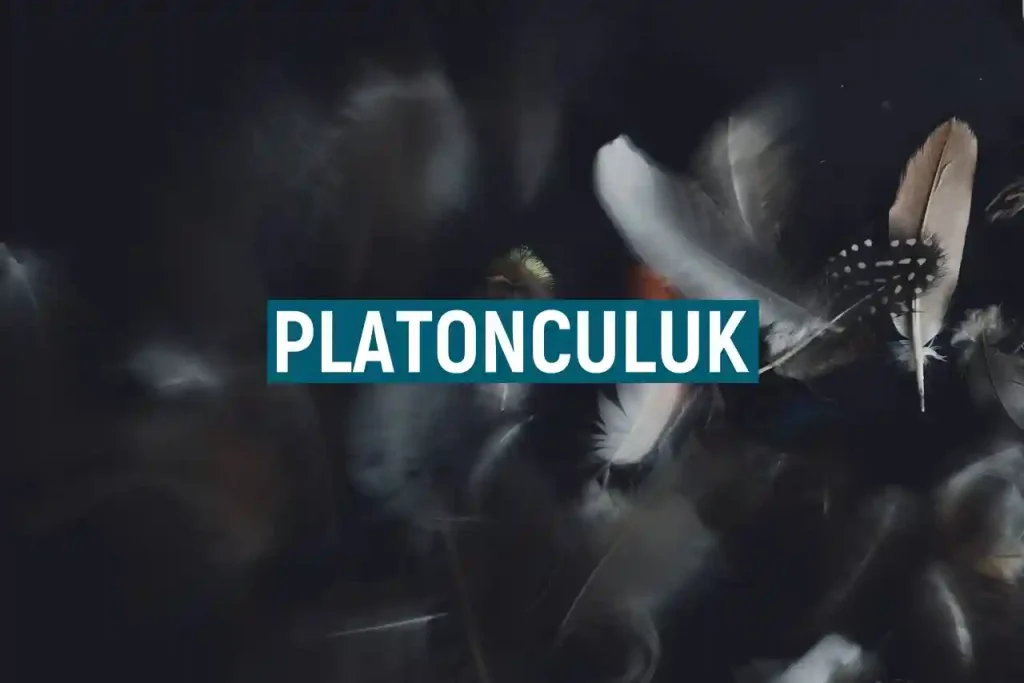 Platonculuk